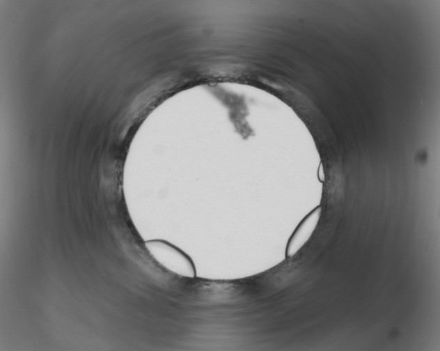 X0000115630428200912221253