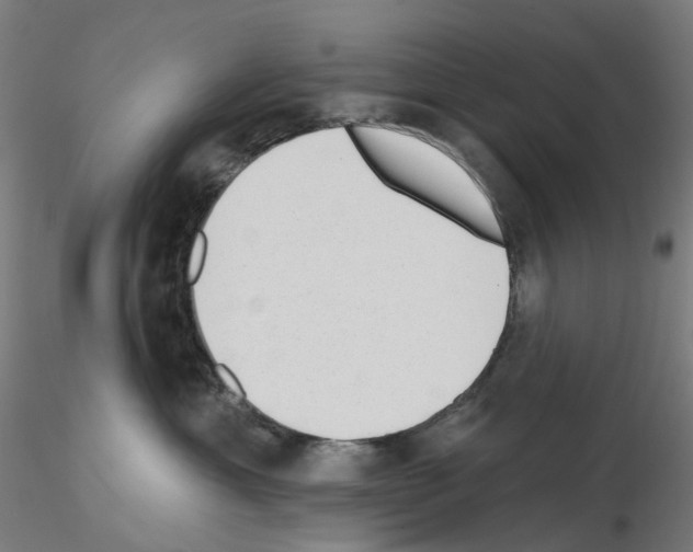 X0000115630429200912221253