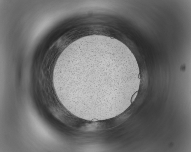 X0000115630430200912221253