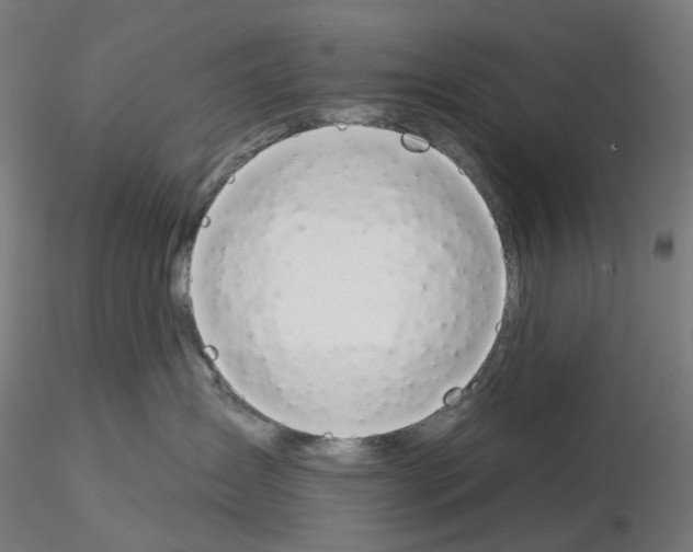 X0000115630431200912221253
