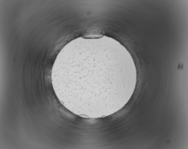 X0000115630432200912221253
