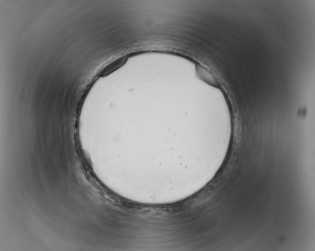 X0000115630434200912221252