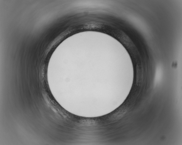 X0000115630435200912221252