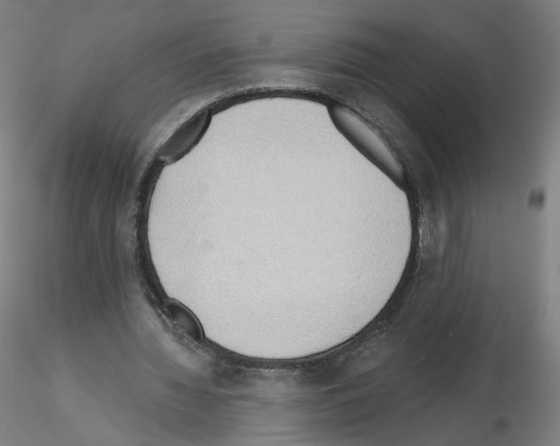 X0000115630436200912221252