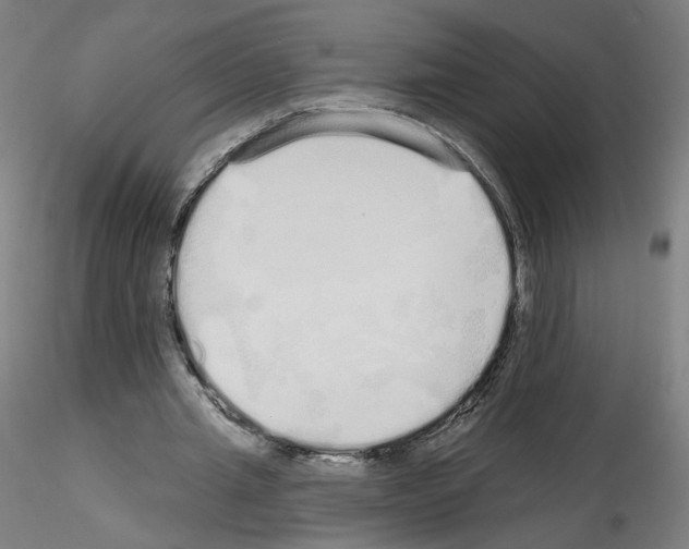 X0000115630437200912221252
