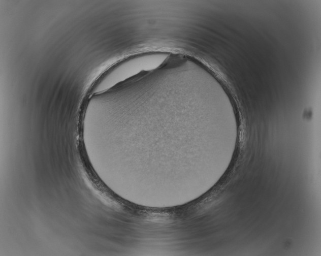 X0000115630438200912221252