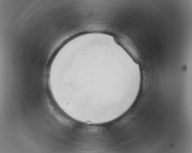 X0000115630439200912221252