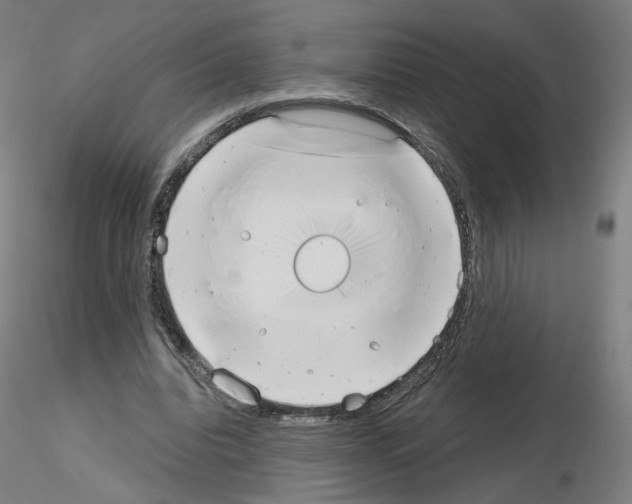 X0000115630440200912221252
