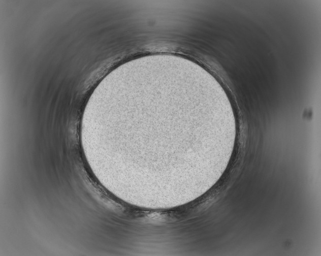 X0000115630441200912221252