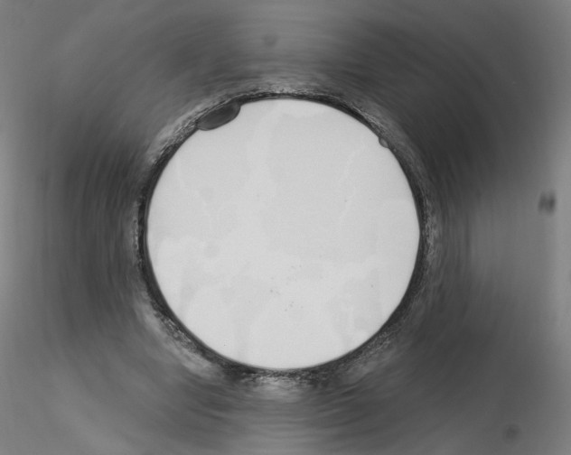 X0000115630442200912221252