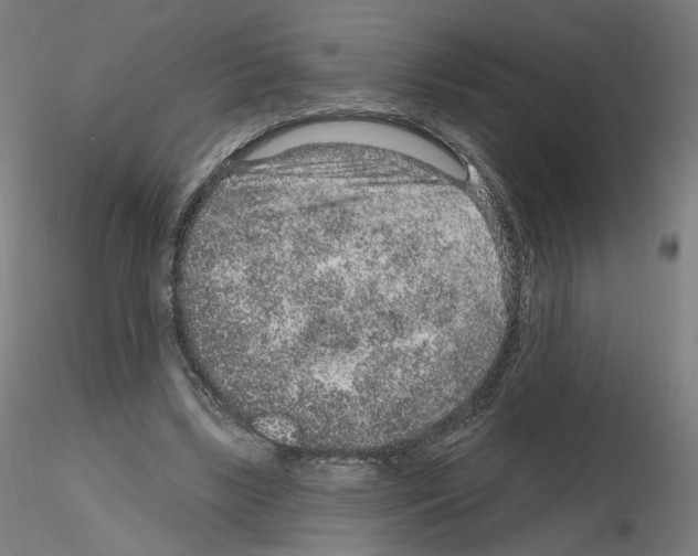 X0000115630443200912221252