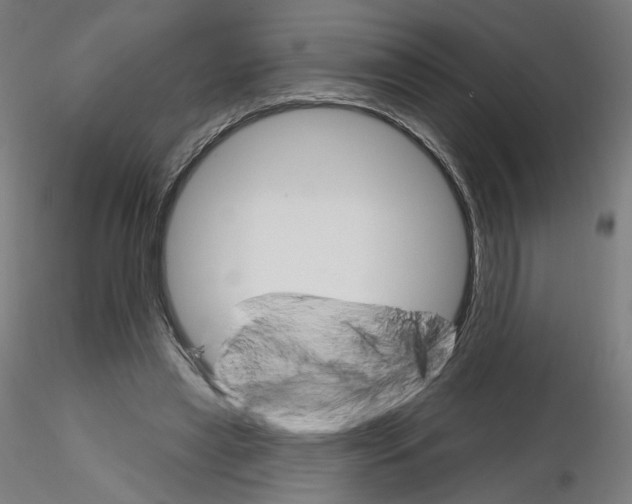X0000115630445200912221252