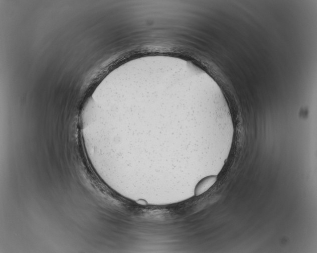 X0000115630446200912221252