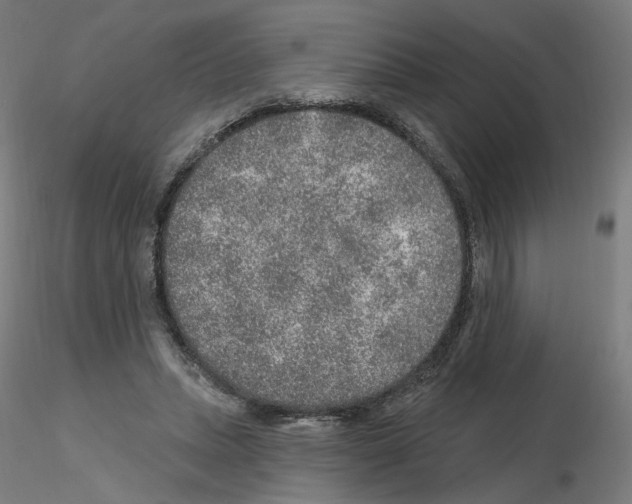 X0000115630447200912221252
