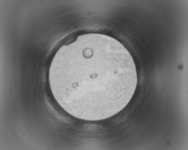 X0000115630448200912221252