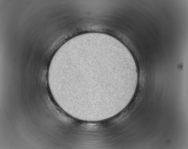 X0000115630449200912221252