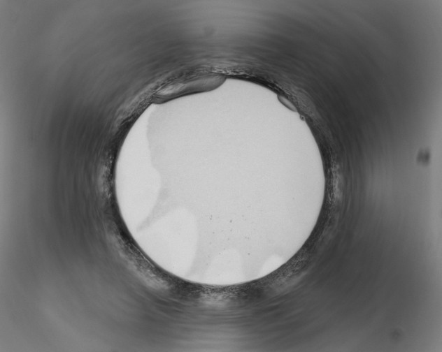 X0000115630450200912221252
