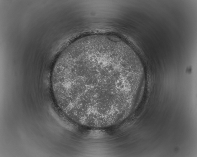 X0000115630451200912221252