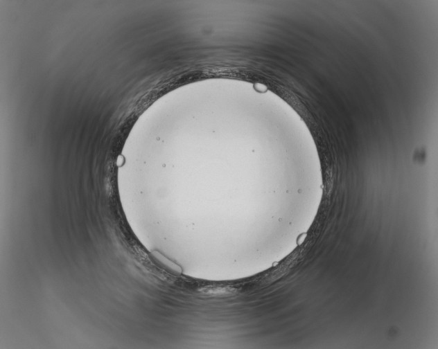 X0000115630452200912221252