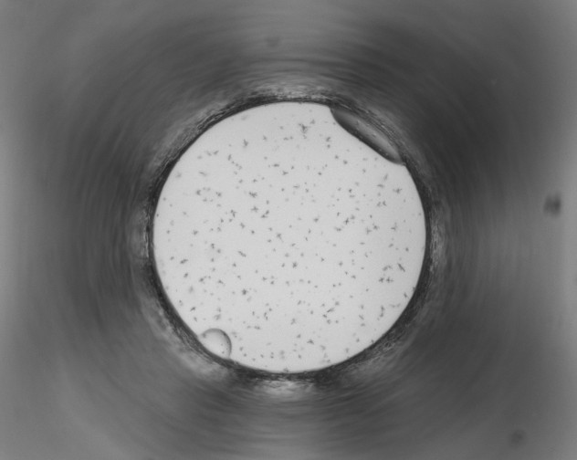 X0000115630453200912221252