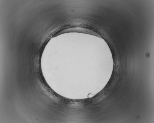 X0000115630454200912221252