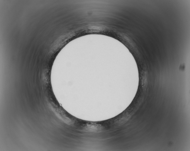 X0000115630455200912221253