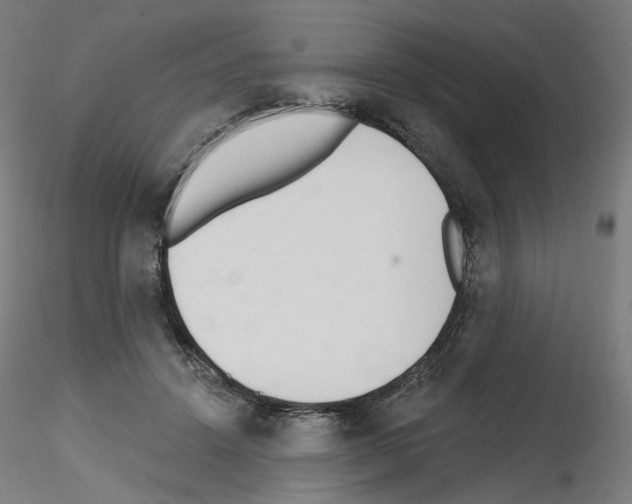 X0000115630456200912221253