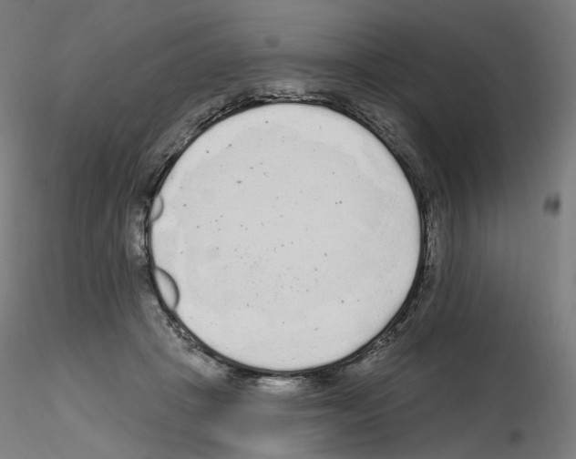 X0000115630457200912221253