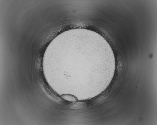 X0000115630459200912221253