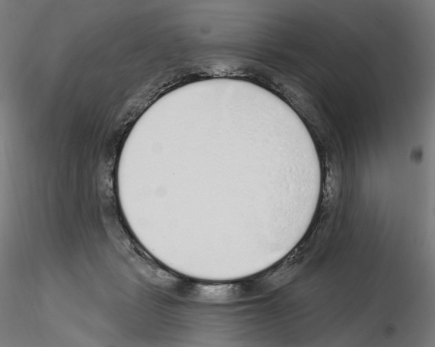 X0000115630461200912221253