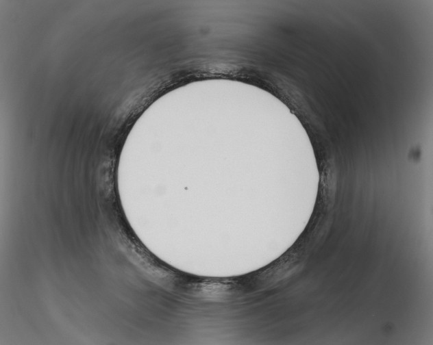 X0000115630462200912221253