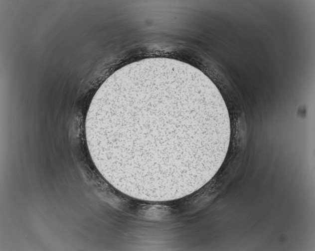 X0000115630463200912221253