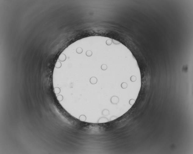 X0000115630464200912221253