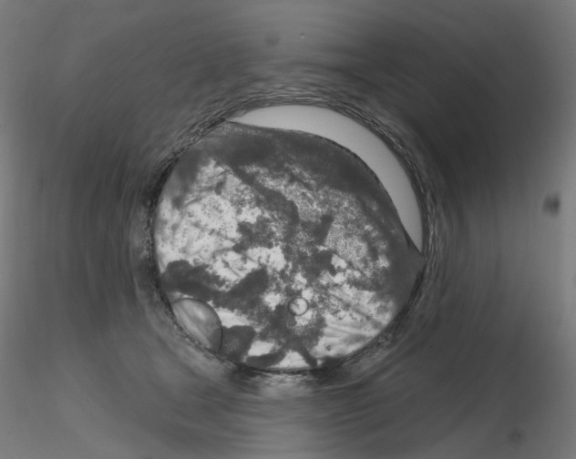 X0000115630465200912221253
