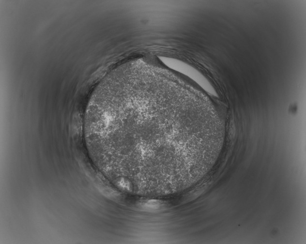 X0000115630467200912221253