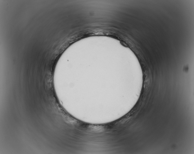 X0000115630469200912221253