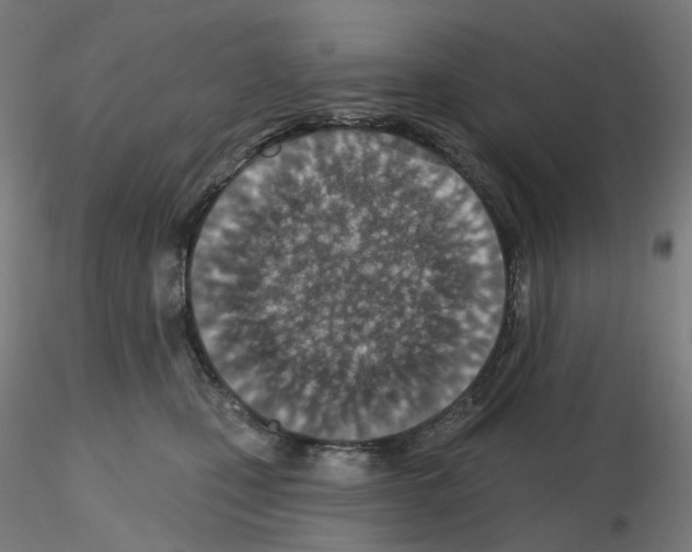 X0000115630471200912221253