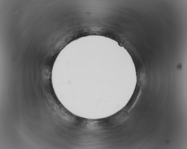 X0000115630472200912221253