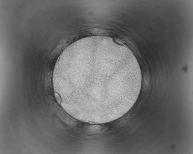 X0000115630473200912221253