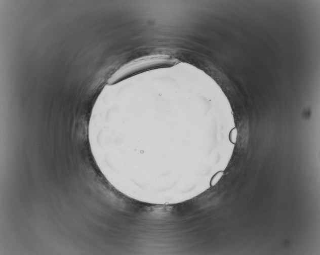 X0000115630474200912221253