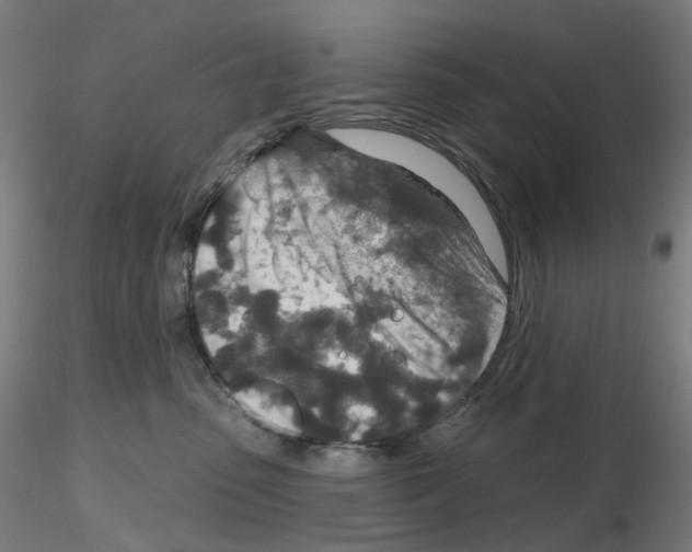 X0000115630475200912221253