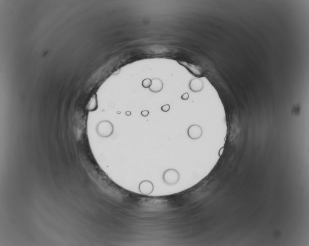 X0000115630476200912221253