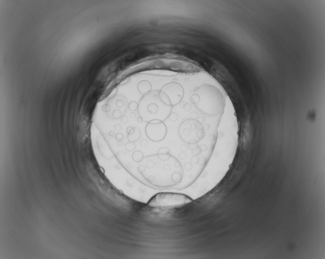 X0000115630478200912221253