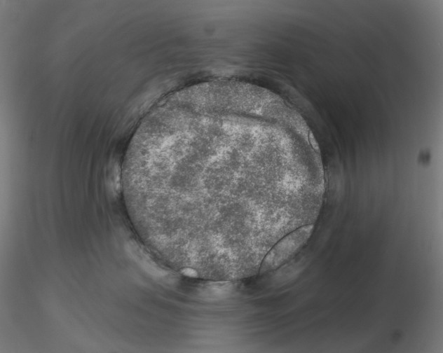 X0000115630479200912221253