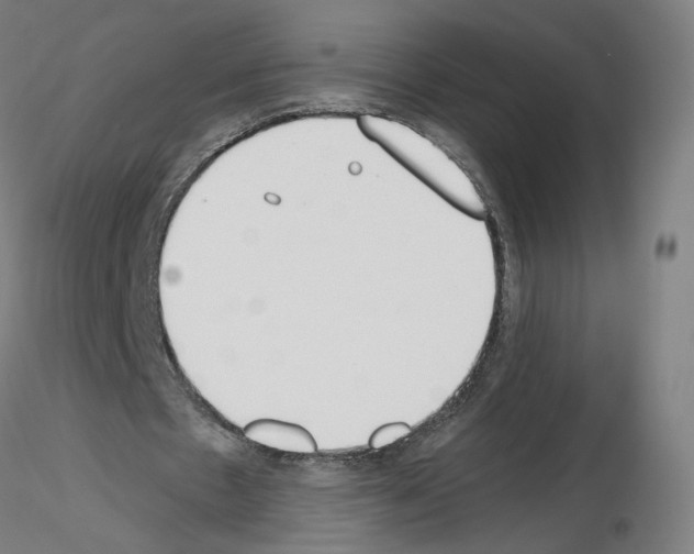 X0000115630481200912221252