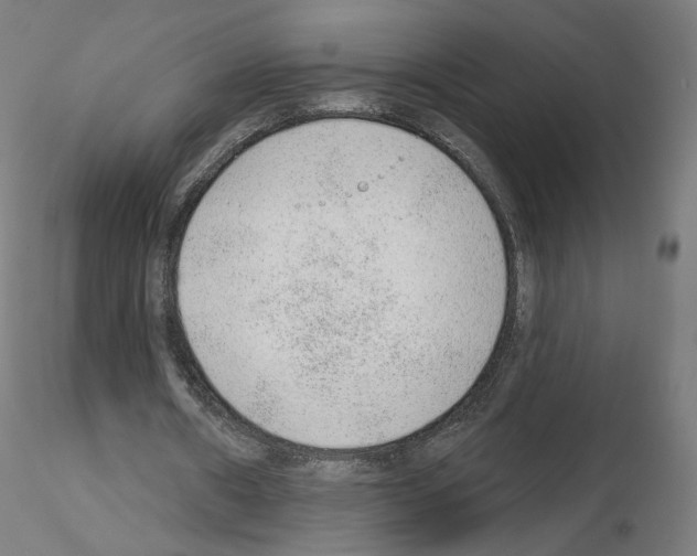X0000115630482200912221252