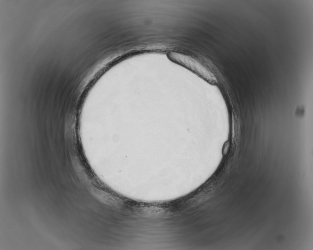 X0000115630483200912221252