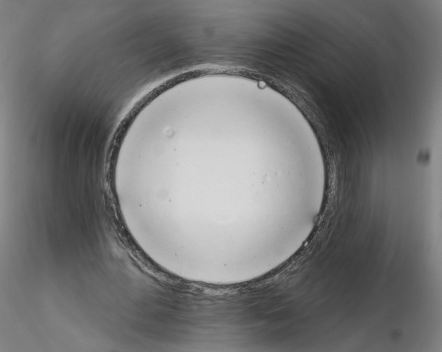 X0000115630484200912221252