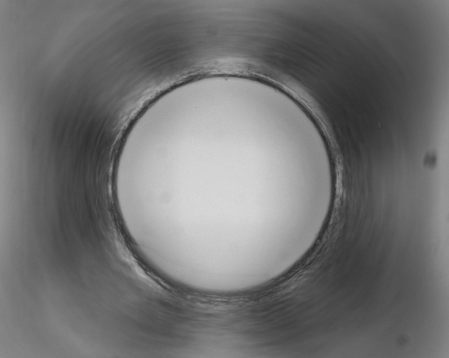 X0000115630485200912221252