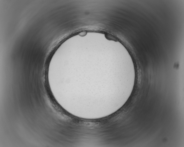 X0000115630486200912221252